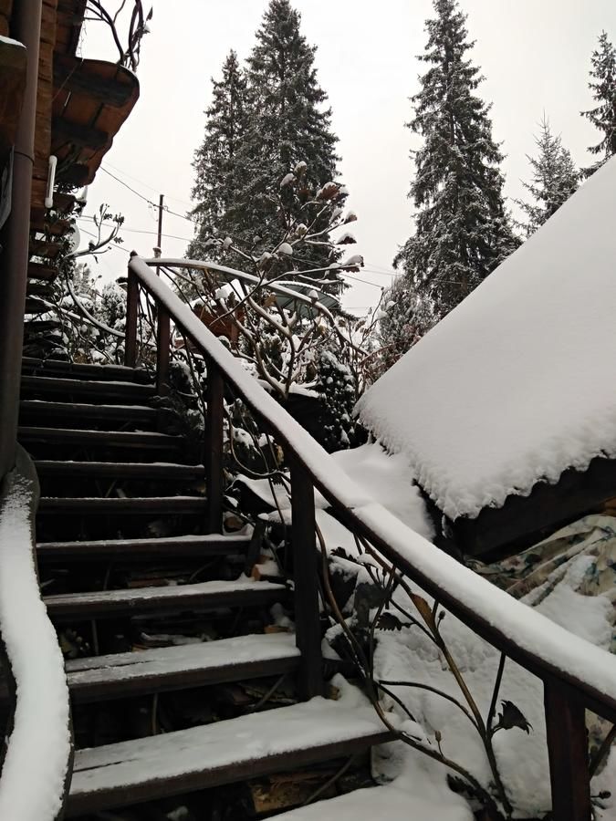 Отель Любе Яблоница-40